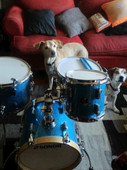 Sofi, Coli y la batería nueva Sonor Martini.