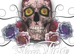 59899389_2554534061261525_7549633125668618240_n