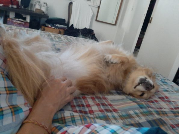 91776318_525981991662380_2326584480027901952_n