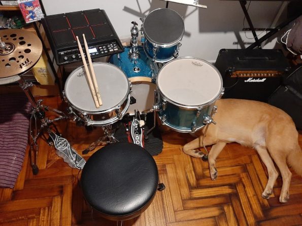 92136863_634541300426457_6424885897853927424_n